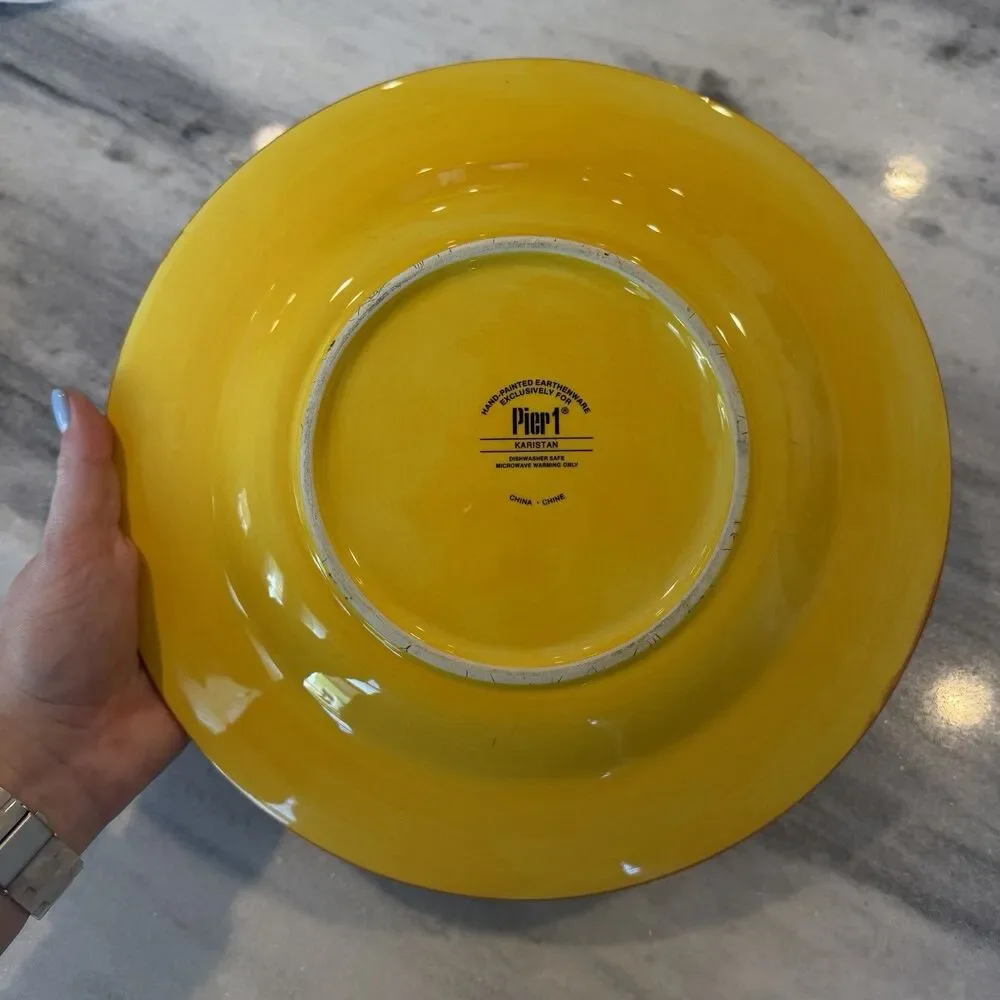 Pier 1 One Karistan Dinner Plates | 11.25